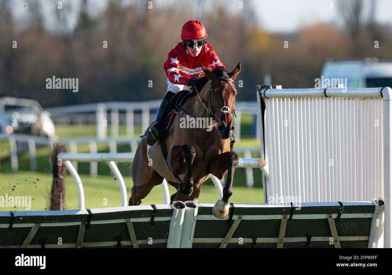 Newbury, Großbritannien. Freitag, 29. November 2024. Regent's Walk und Harry Cobden gewinnen die Play Coral „Racing-Super-Series“ für die kostenlose „National Hunt“ Maiden Hürde für Trainer Paul Nicholls und die Besitzer Ferguson, Mason, Hales, Hogarth und Smith. Credit JTW equine Images / Alamy Live News Stockfoto