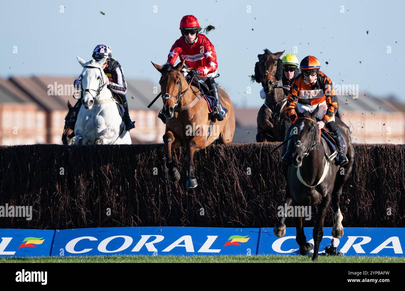 Newbury, Großbritannien. Freitag, 29. November 2024. Kalif du Berlais und Harry Cobden gewinnen den Coral Racing Club Novices Handicap Chase für Trainer Paul Nicholls und Besitzer Ferguson, Mason, Hales & Done. Credit JTW equine Images / Alamy Live News Stockfoto