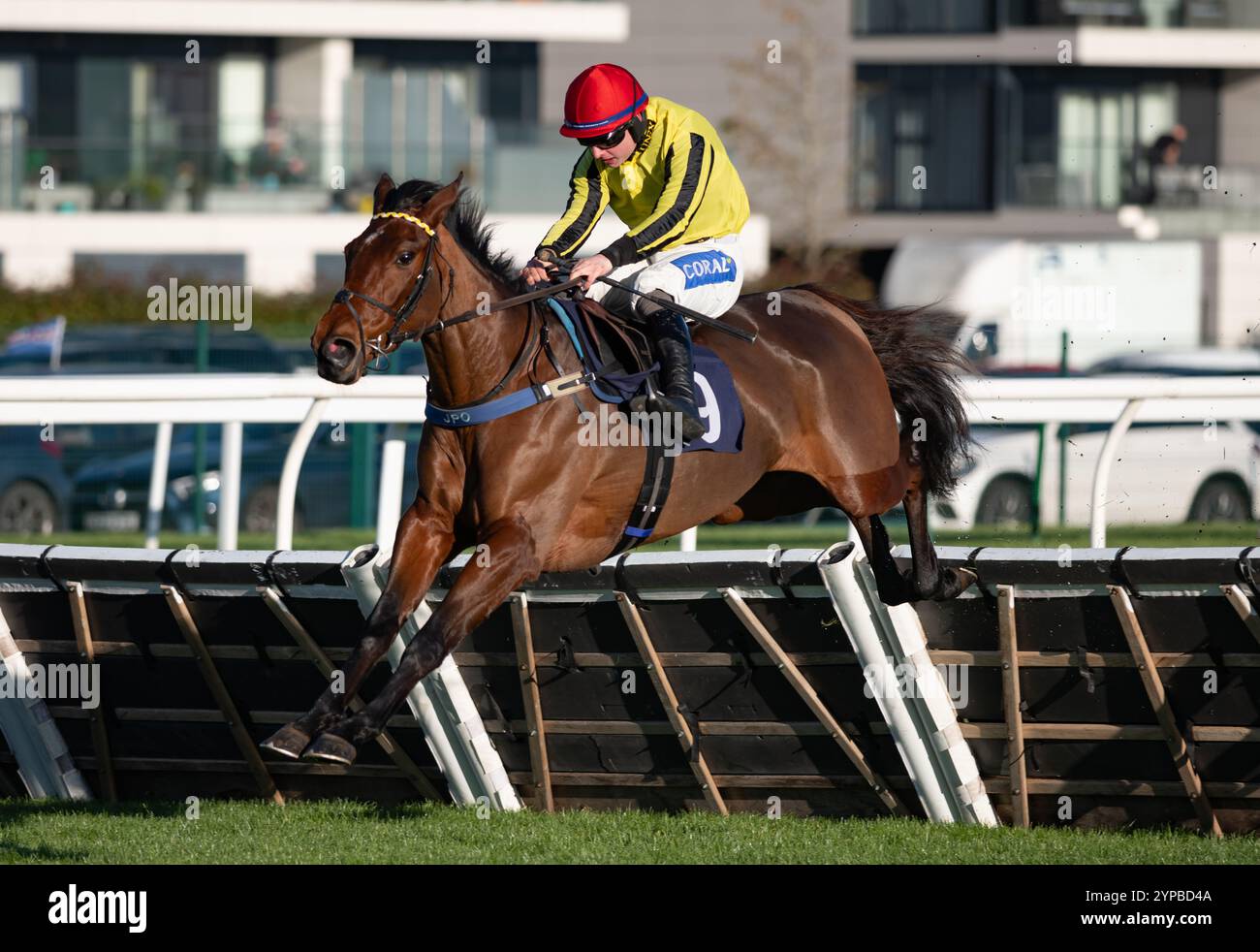 Newbury, Großbritannien. Freitag, 29. November 2024. OPEC und Sean Bowen gewinnen die „Bet in Race“ mit Coral Fillies Juvenile Hürdle für Trainer James Owen und Besitzer der Gredley Family. Credit JTW equine Images / Alamy Live News Stockfoto