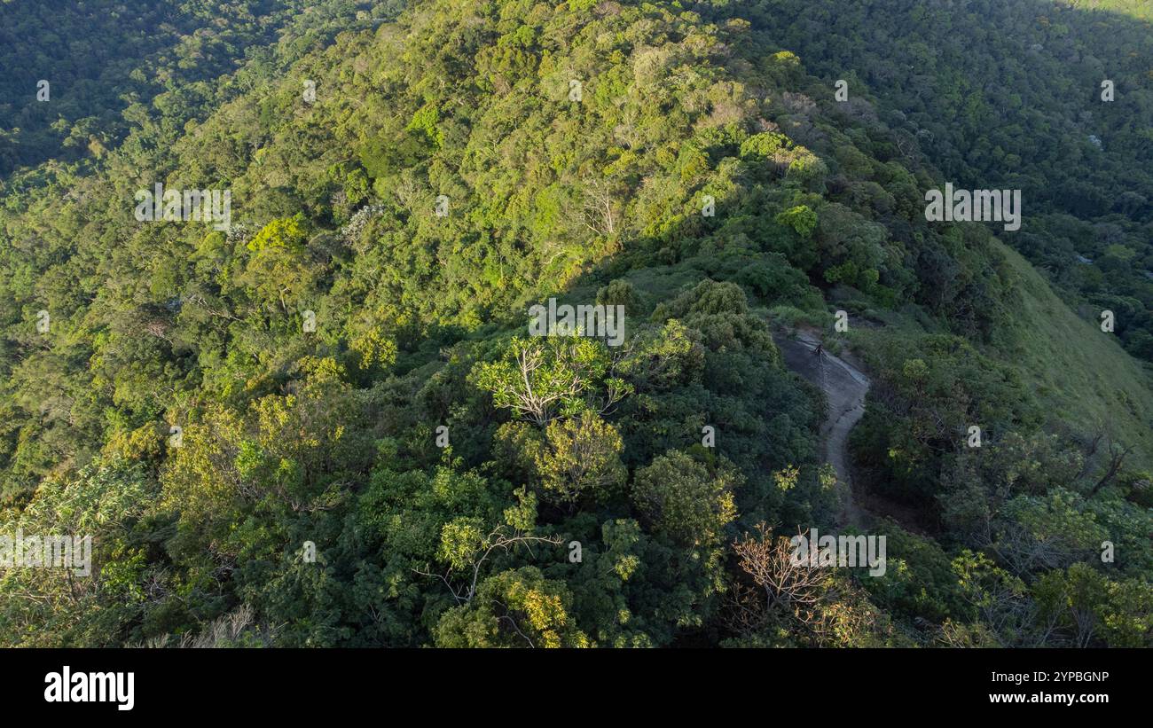 Aus der Vogelperspektive des Pico da Tijuca, im Nationalpark Tijuca in der Stadt Rio de Janeiro. Stockfoto