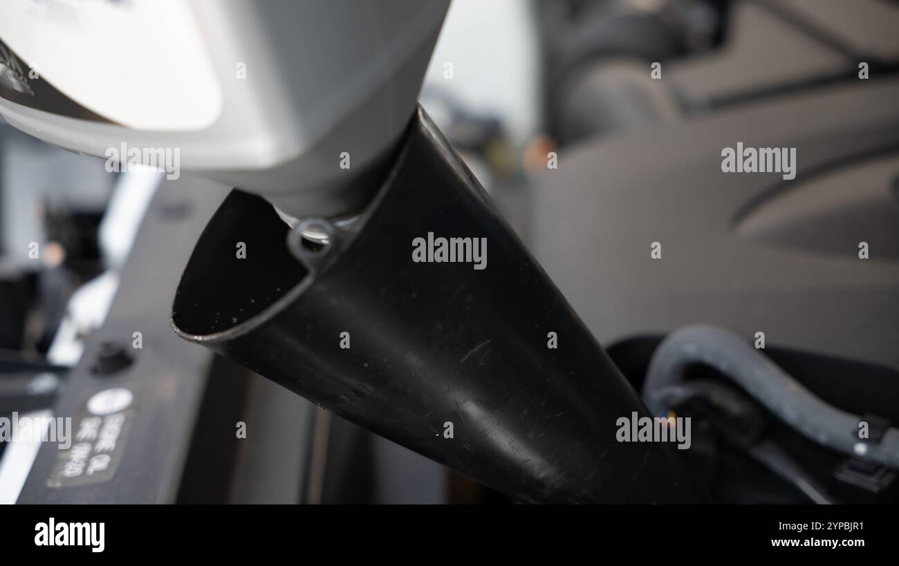 Moderne Aguadilla-Ruinen am Meer in Puerto Rico mit Blick auf den Strand, die Meereslandschaft und einen Hund am Ufer Stockfoto