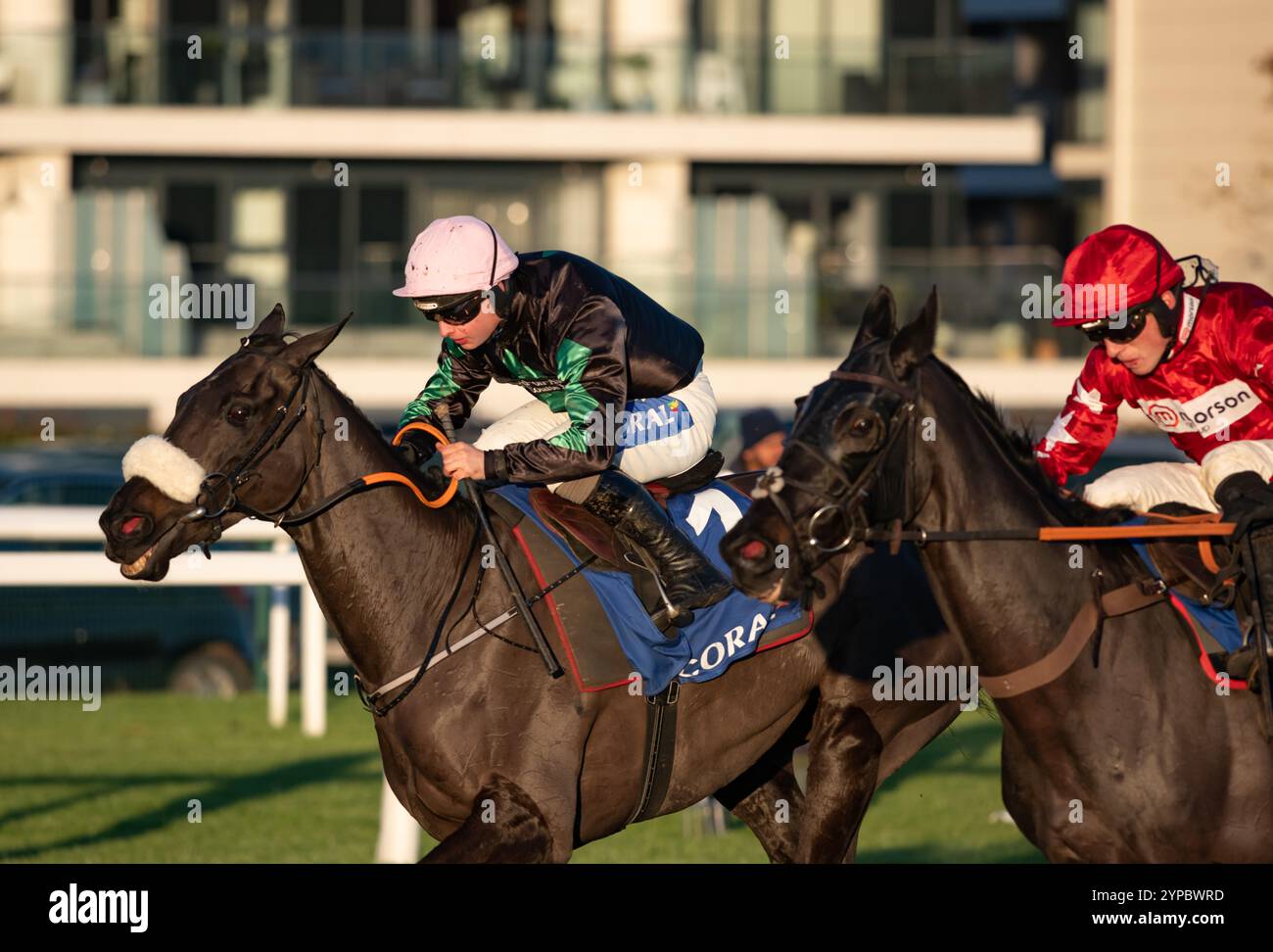 Newbury, Großbritannien. Freitag, 29. November 2024. Strong Leader und Sean Bowen gewinnen die Coral Long Distance Hürde der Klasse 2 für Trainer Olly Murphy und Besitzer Welfordgolf Syndicate. Credit JTW equine Images / Alamy Live News Stockfoto