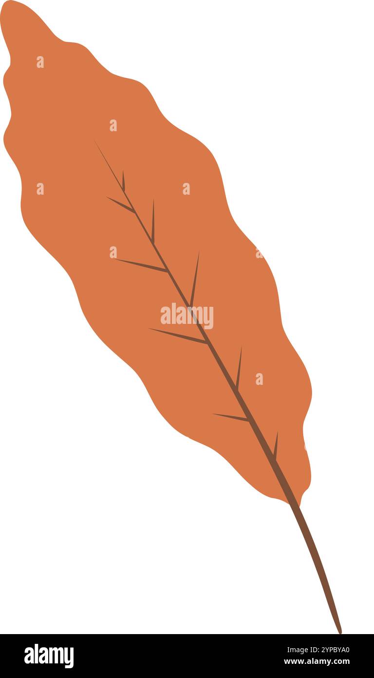 Blatt für die Weihnachtszeit. Herbstdankbarkeit Einfaches Thanksgiving Blatt. Goldenes und grünes Eichenblatt. Ein Thanksgiving-Symbol. Eleganz Der Ernte Stock Vektor