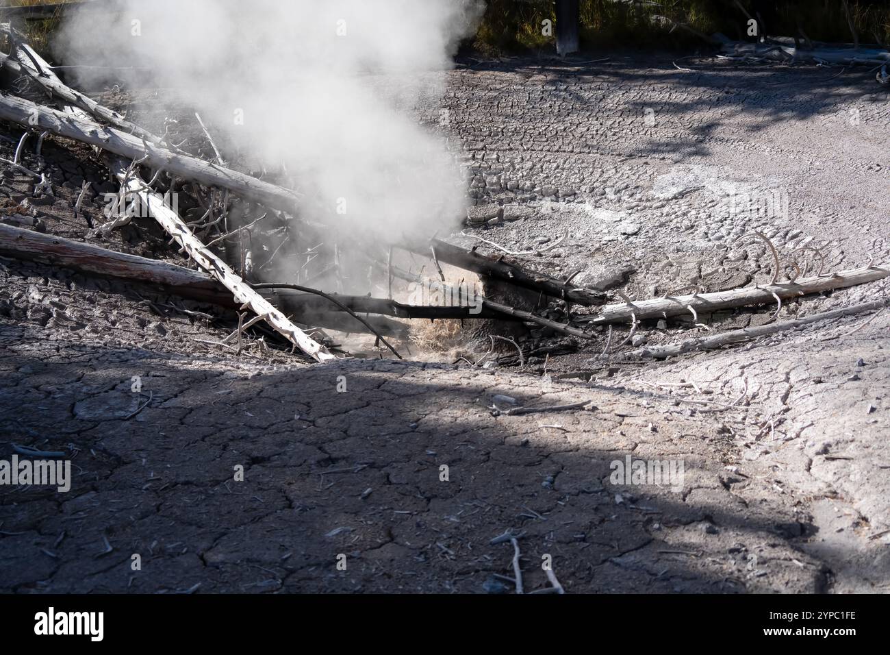 Eine aktive Geysirquelle mit einem periodischen Abfluss von Wasser, das turbulent und mit Dampf begleitet wird, im Yellowstone-Nationalpark, USA Stockfoto