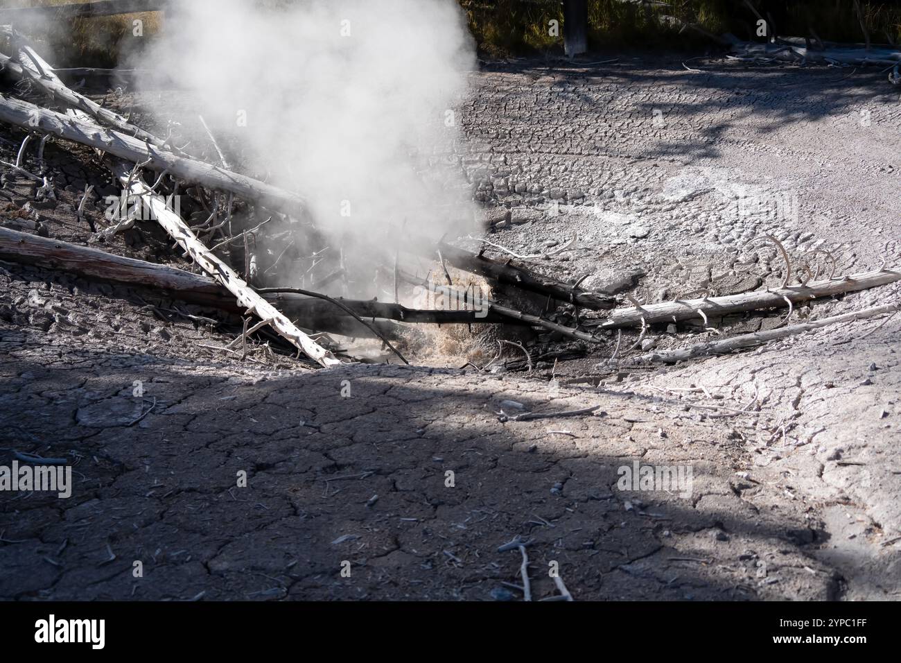 Eine aktive Geysirquelle mit einem periodischen Abfluss von Wasser, das turbulent und mit Dampf begleitet wird, im Yellowstone-Nationalpark, USA Stockfoto