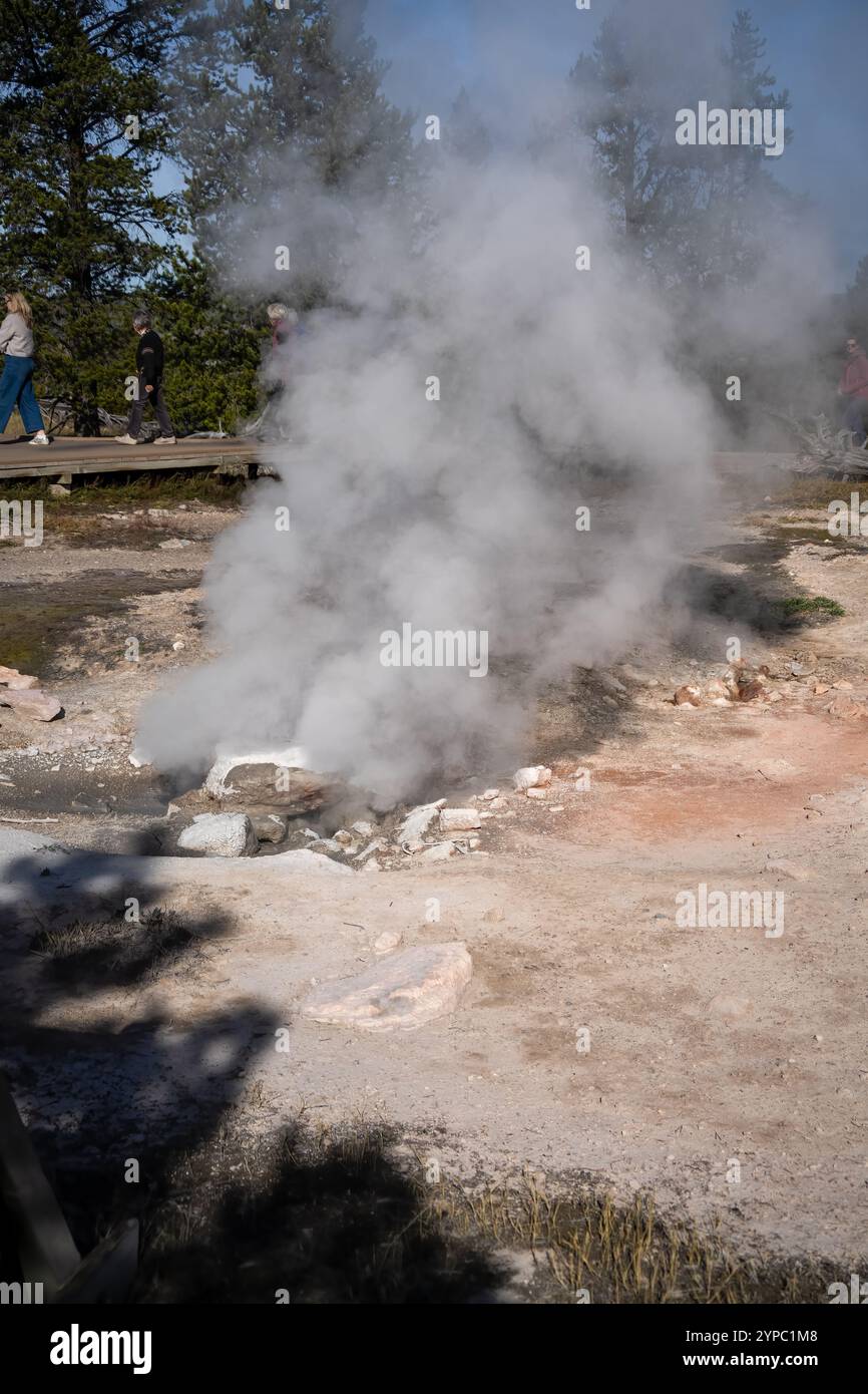 Eine aktive Geysirquelle mit einem periodischen Abfluss von Wasser, das turbulent und mit Dampf begleitet wird, im Yellowstone-Nationalpark, USA Stockfoto