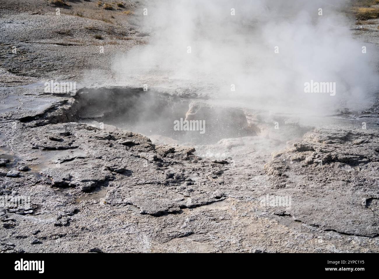 Eine aktive Geysirquelle mit einem periodischen Abfluss von Wasser, das turbulent und mit Dampf begleitet wird, im Yellowstone-Nationalpark, USA Stockfoto