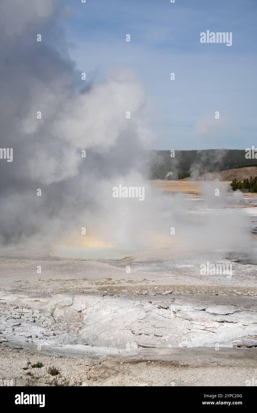 Eine aktive Geysirquelle mit einem periodischen Abfluss von Wasser, das turbulent und mit Dampf begleitet wird, im Yellowstone-Nationalpark, USA Stockfoto