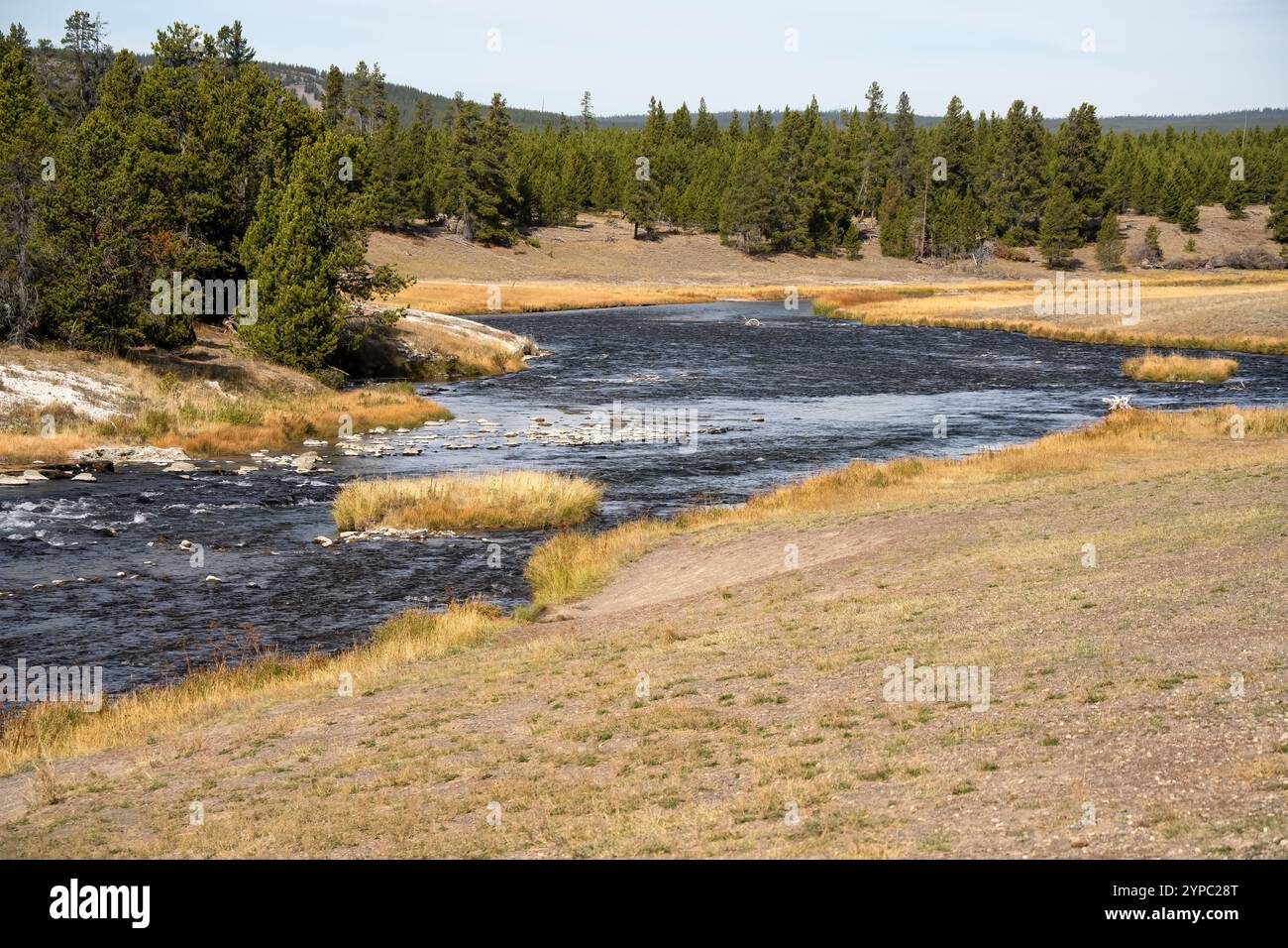 Eine aktive Geysirquelle mit einem periodischen Abfluss von Wasser, das turbulent und mit Dampf begleitet wird, im Yellowstone-Nationalpark, USA Stockfoto