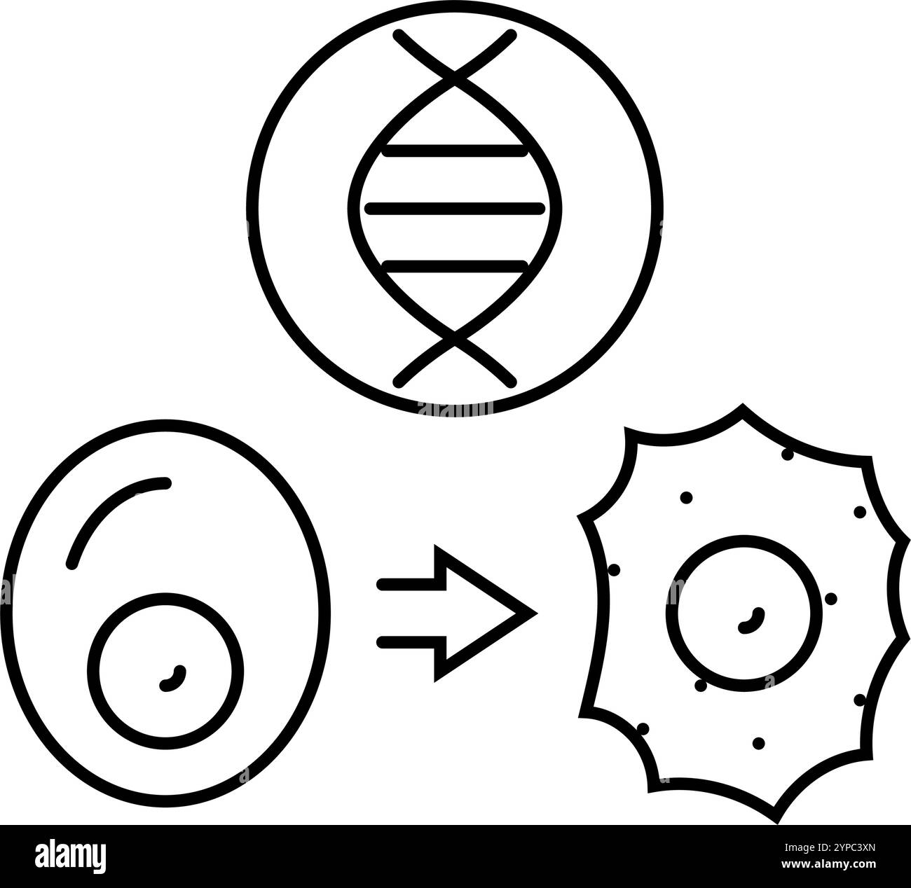 rna-Interferenz Kryptogenetik Linie Symbol Vektor Illustration Stock Vektor