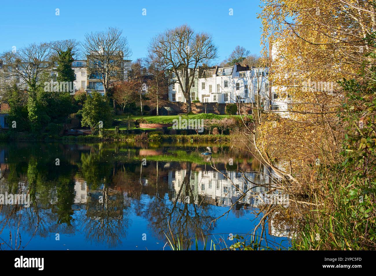 Vale of Heath Pond, Hampstead Heath, London, Großbritannien, im Spätherbst Stockfoto