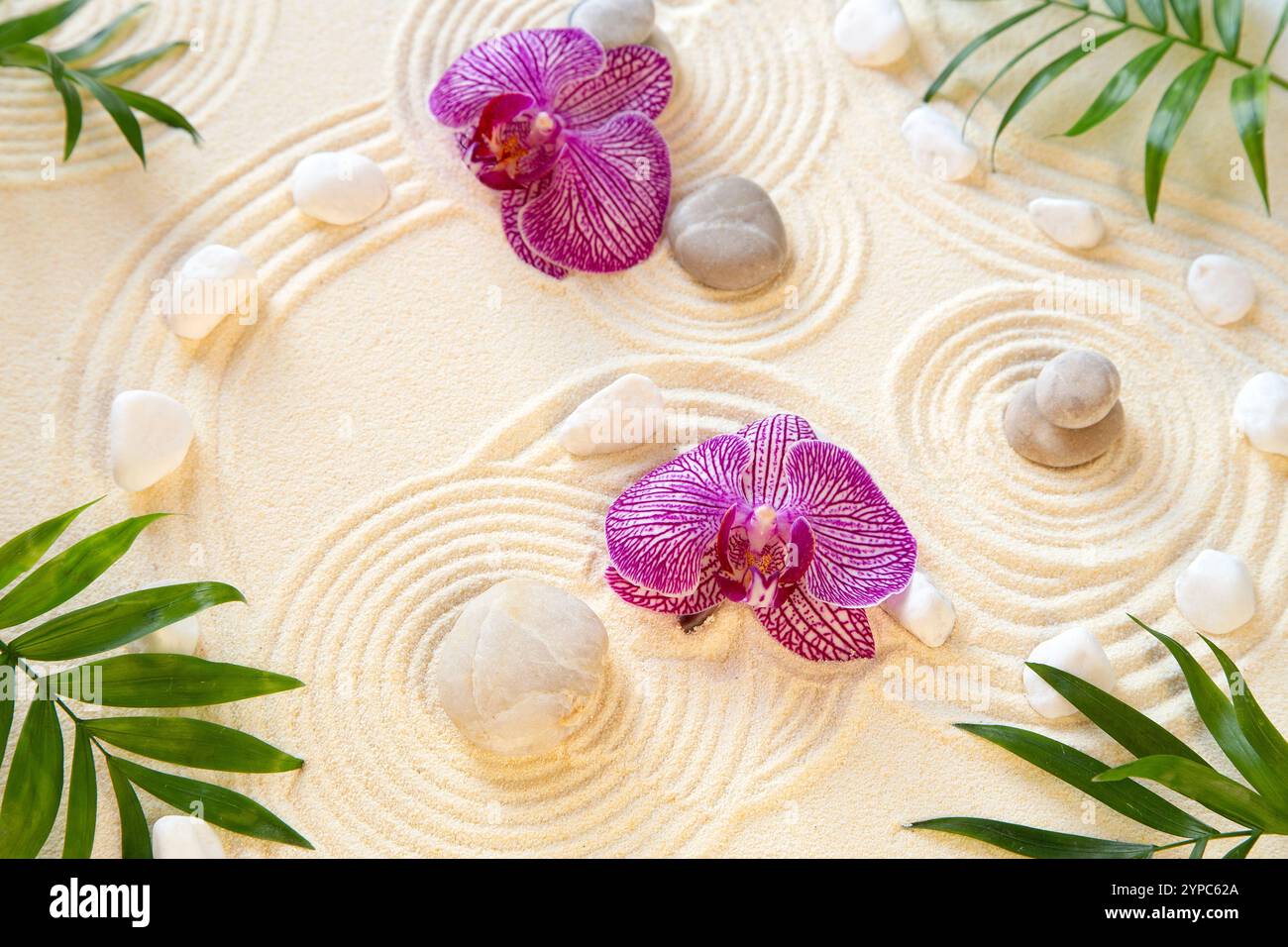 Zen-Garten mit Palmblättern und Orchideen Stockfoto