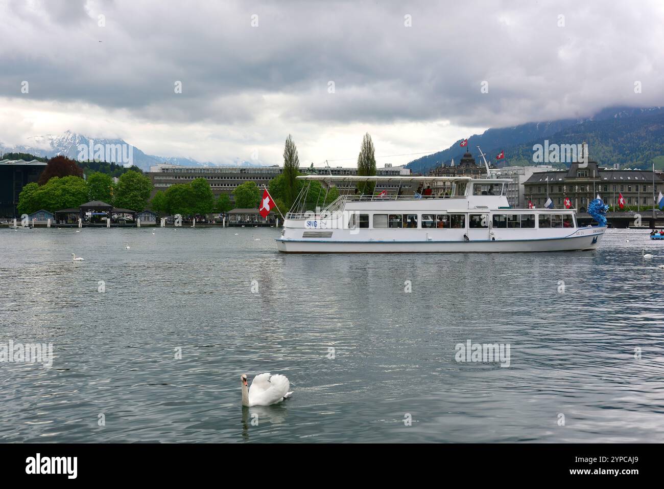 Vierwaldstättersee, Luzern, Kanton Luzern, Schweiz, Schweiz, Suisse, Svájc, Europa Stockfoto