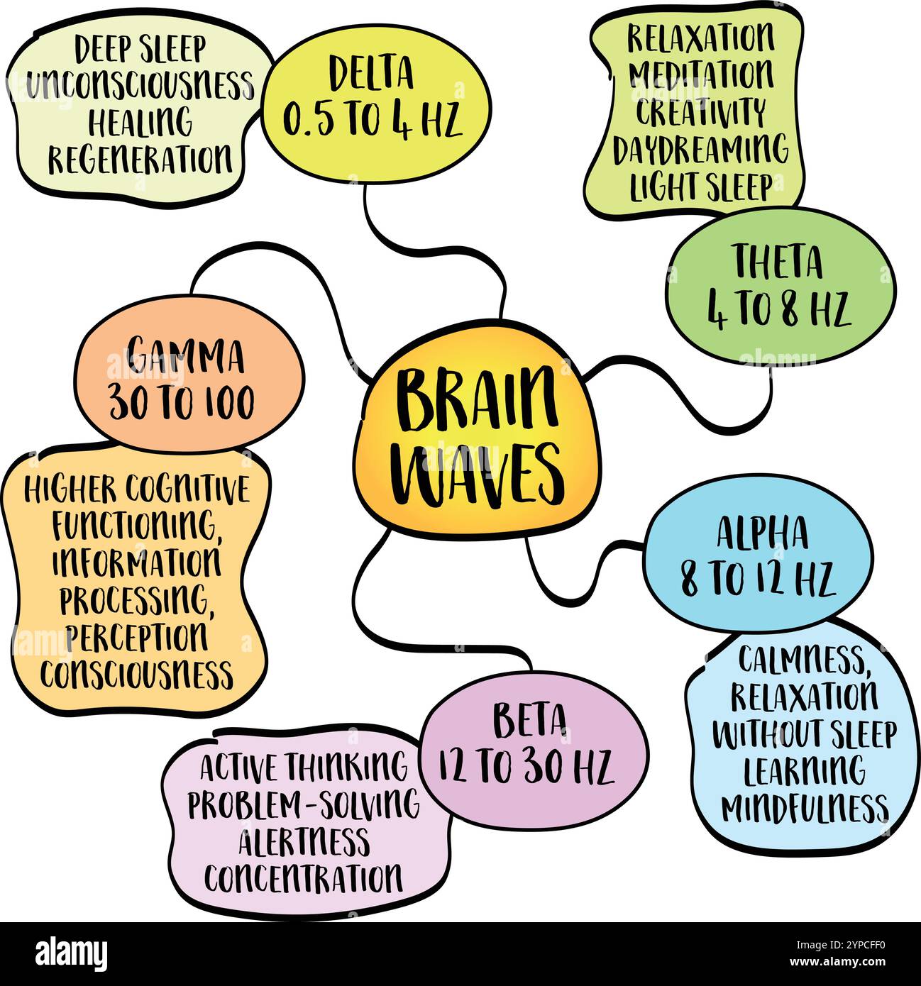 Gehirnwellen sind elektrische Impulse im Gehirn, die verschiedene mentale zustände und Aktivitäten widerspiegeln, Mindmap-Infografiken, Mindmap-Infografiken Stock Vektor