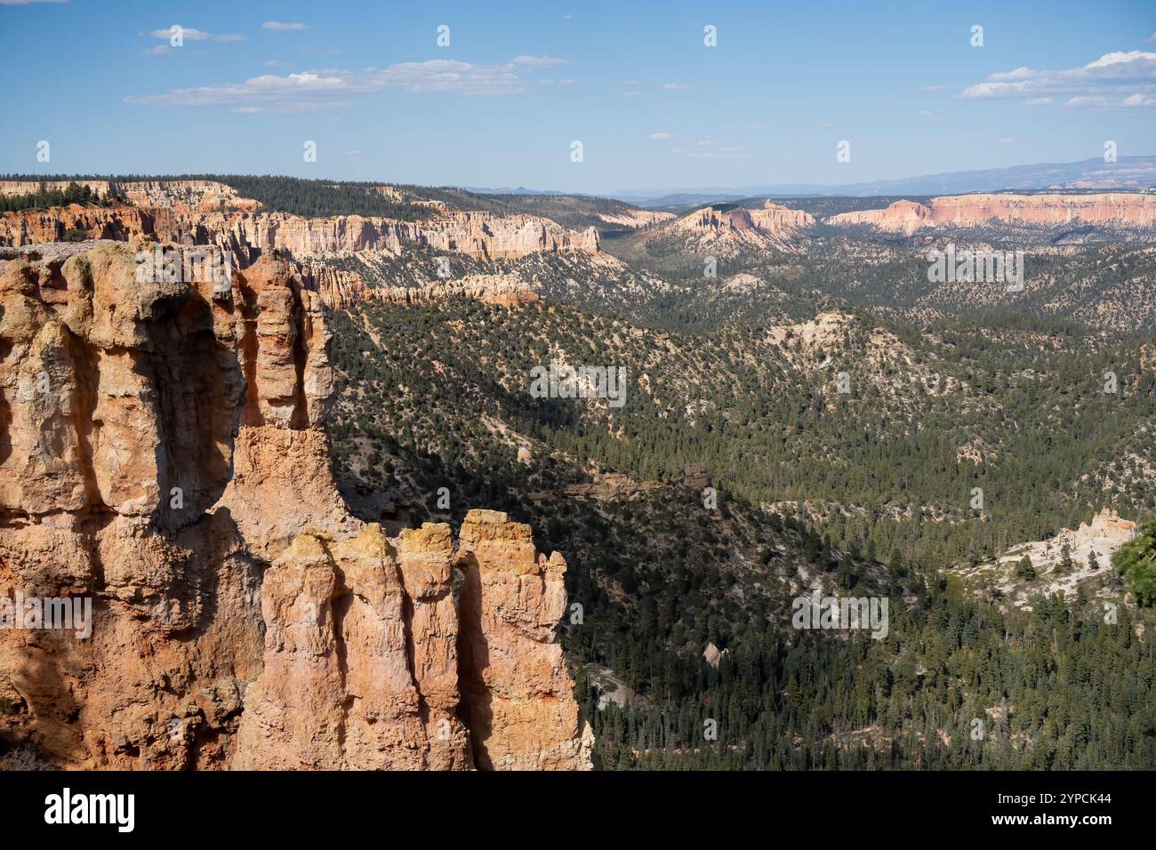 Wunderschöne rote, braune und gelbe Felsformationen in einer Sammlung von riesigen natürlichen Amphitheatern im Bryce Canyon, Utah, USA Stockfoto