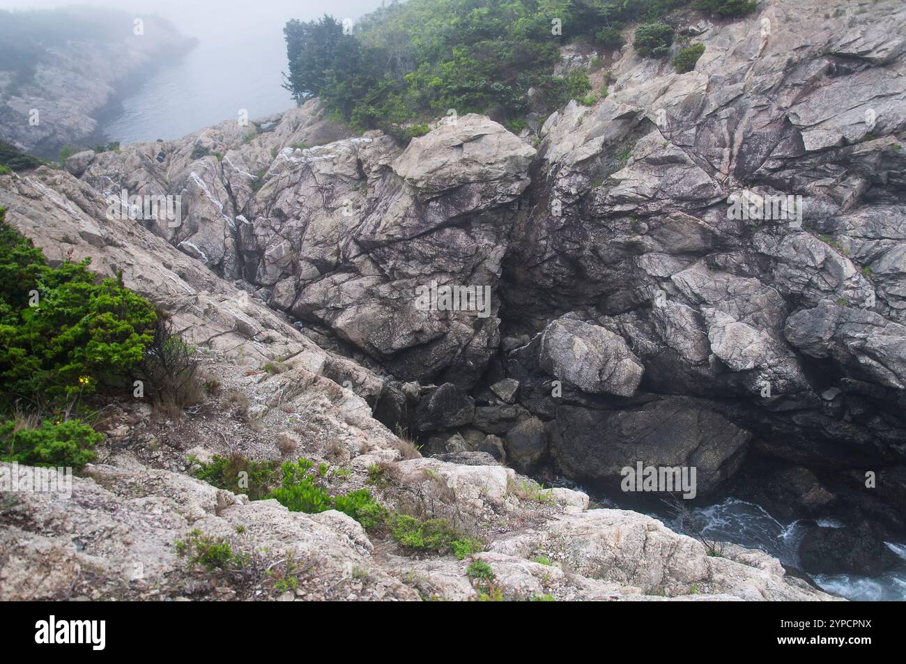 Die nebelige Küste im Fort Wetherill State Park in Jamestown, Rhode Island. Stockfoto