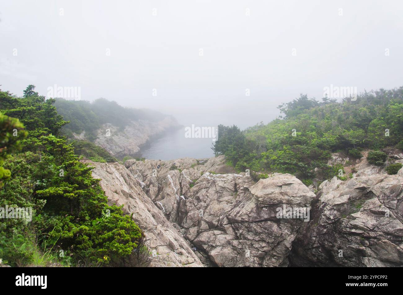 Die nebelige Küste im Fort Wetherill State Park in Jamestown, Rhode Island. Stockfoto