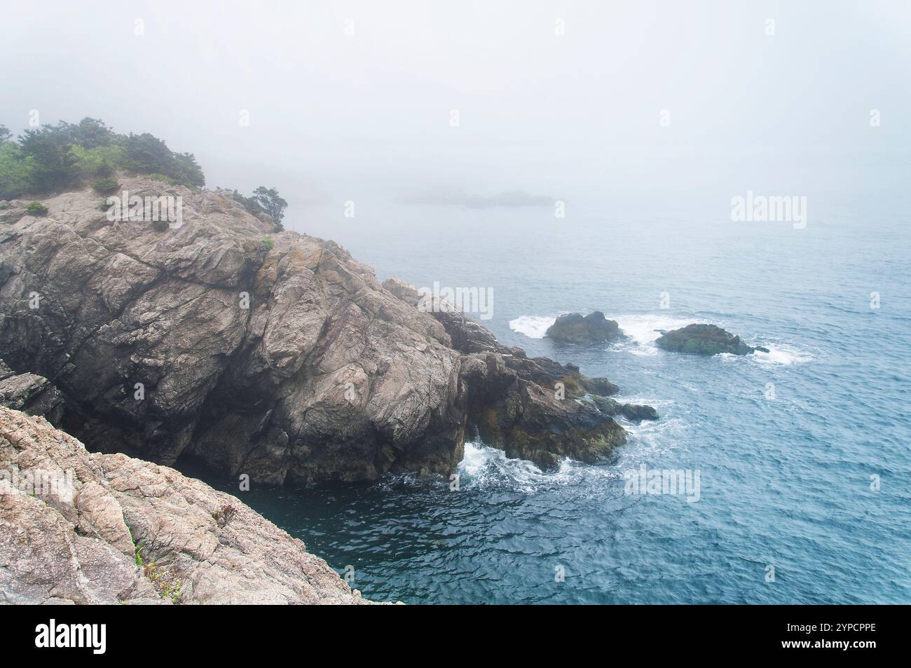 Die nebelige Küste im Fort Wetherill State Park in Jamestown, Rhode Island. Stockfoto