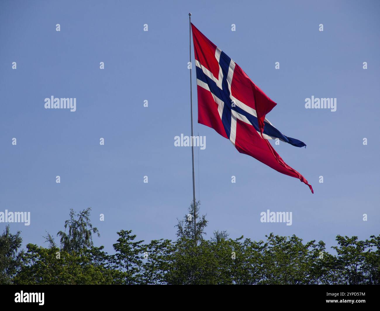 Norwegische Flagge winkt im Wind vor einem klaren blauen Himmel, trondheim, norwegen Stockfoto