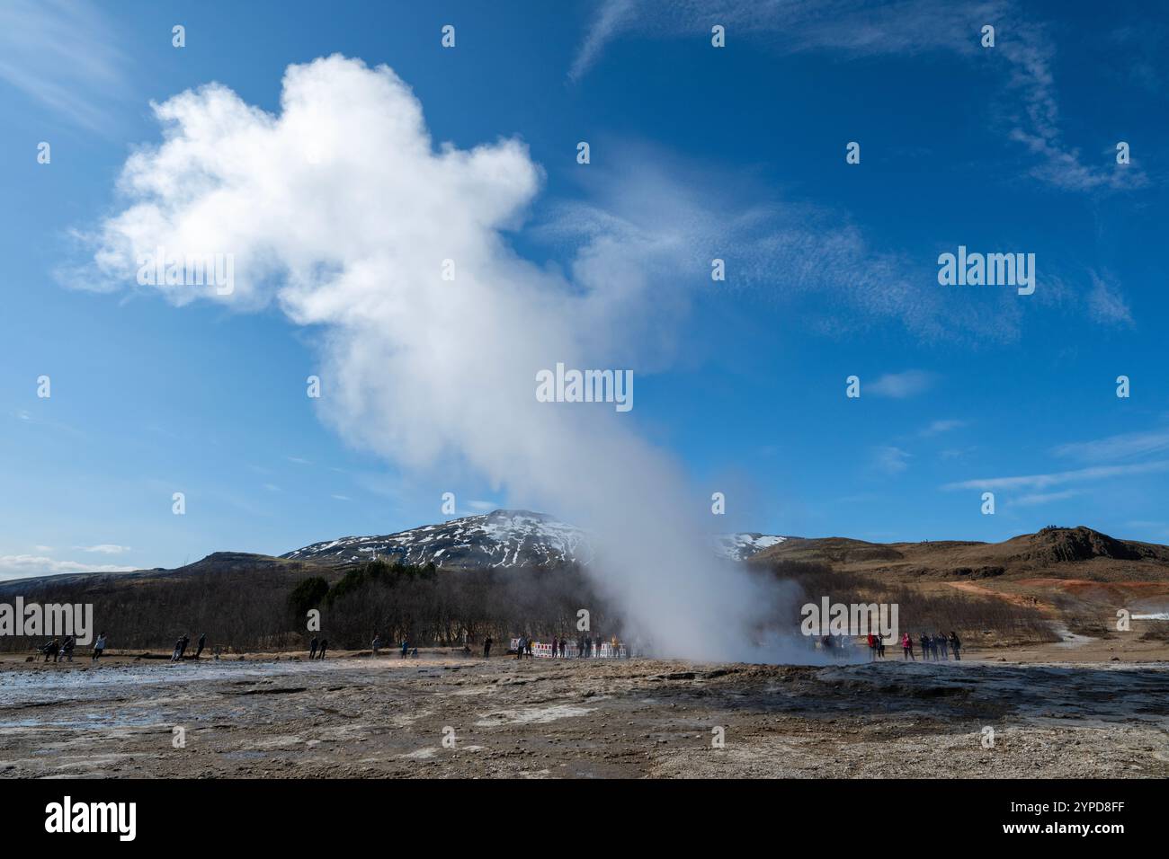 Island, Golden Circle, Geysir Geothermie, Strokkur Geysir. Stockfoto