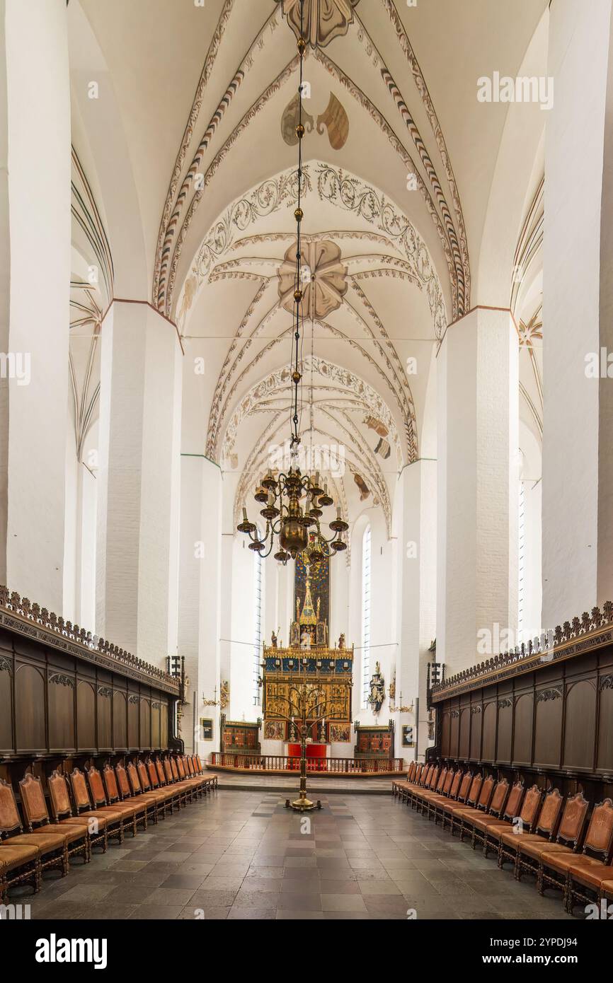 Das Innere der Kathedrale von Aarhus mit ihren gewölbten Decken mit komplizierten Mustern, einem großen Kronleuchter und Reihen von hölzernen Chorbuden, die nach t führen Stockfoto