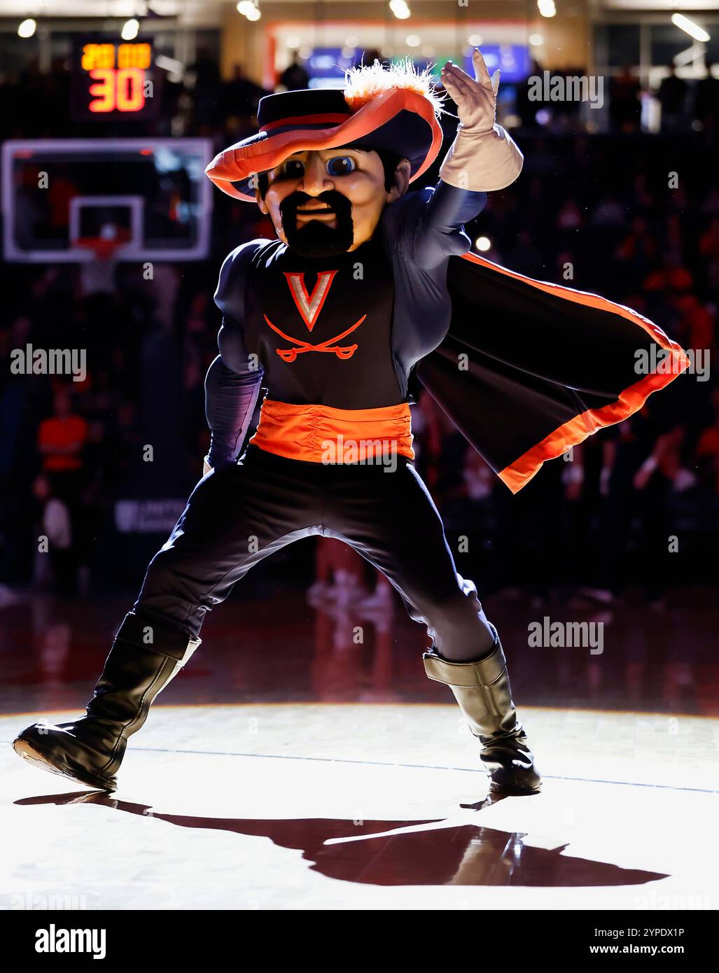 Charlottesville, VA, USA. November 2024. Das UVA Cavalier Maskottchen tritt vor einem NCAA Men's Basketball Spiel zwischen den Holy Cross Crusaders und den University of Virginia Cavaliers in der John Paul Jones Arena in Charlottesville, VA, auf. Justin Cooper/CSM/Alamy Live News Stockfoto