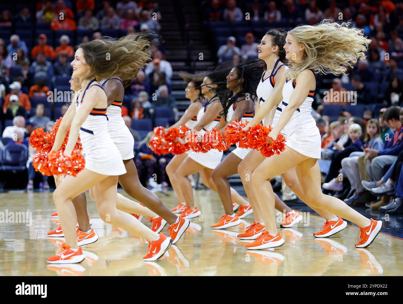 Charlottesville, VA, USA. November 2024. Das UVA Dance Team tritt während eines NCAA Männer Basketballspiels zwischen den Holy Cross Crusaders und den University of Virginia Cavaliers in der John Paul Jones Arena in Charlottesville, VA, auf. Justin Cooper/CSM/Alamy Live News Stockfoto
