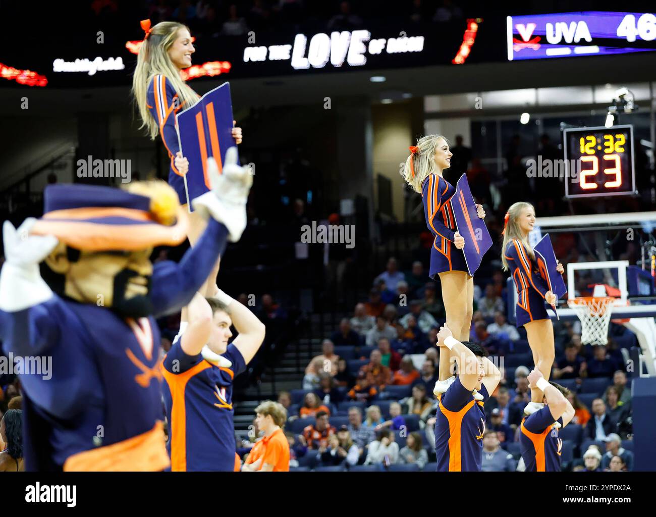 Charlottesville, VA, USA. November 2024. UVA Cheerleader treten während eines NCAA Männer Basketballspiels zwischen den Holy Cross Crusaders und den University of Virginia Cavaliers in der John Paul Jones Arena in Charlottesville, VA, auf. Justin Cooper/CSM/Alamy Live News Stockfoto