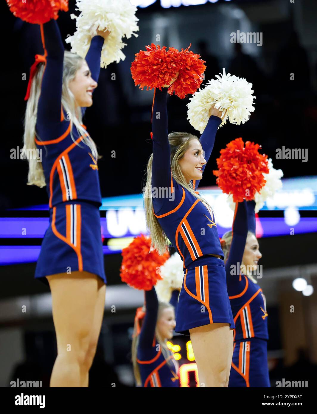 Charlottesville, VA, USA. November 2024. UVA Cheerleader treten während eines NCAA Männer Basketballspiels zwischen den Holy Cross Crusaders und den University of Virginia Cavaliers in der John Paul Jones Arena in Charlottesville, VA, auf. Justin Cooper/CSM/Alamy Live News Stockfoto