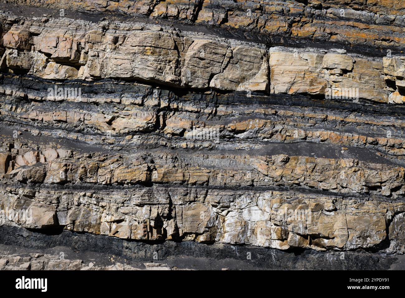 Kohleflöze, die in Gestein von Straßenabschnitten im Carbon County Utah freigelegt wurden Stockfoto