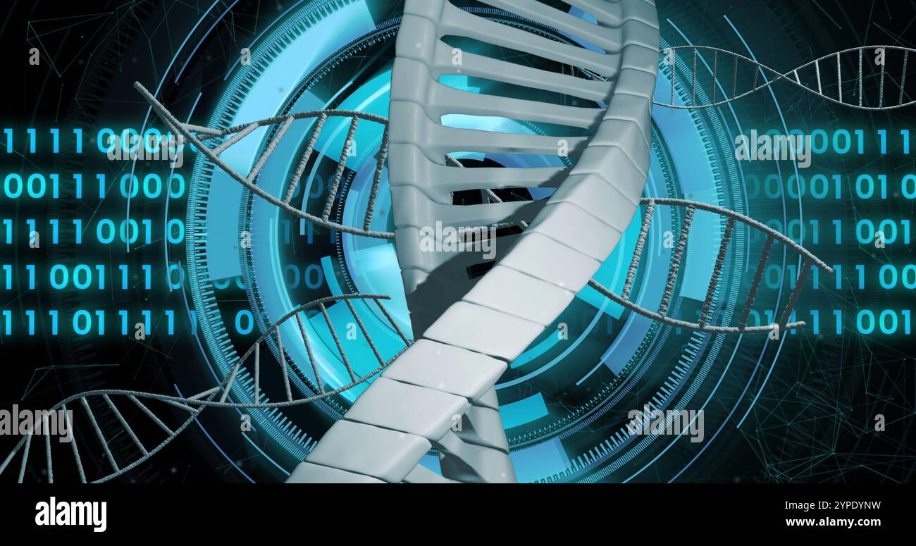 DNA-Strang- und Binärcodierung, Bild der wissenschaftlichen Datenverarbeitung Stockfoto