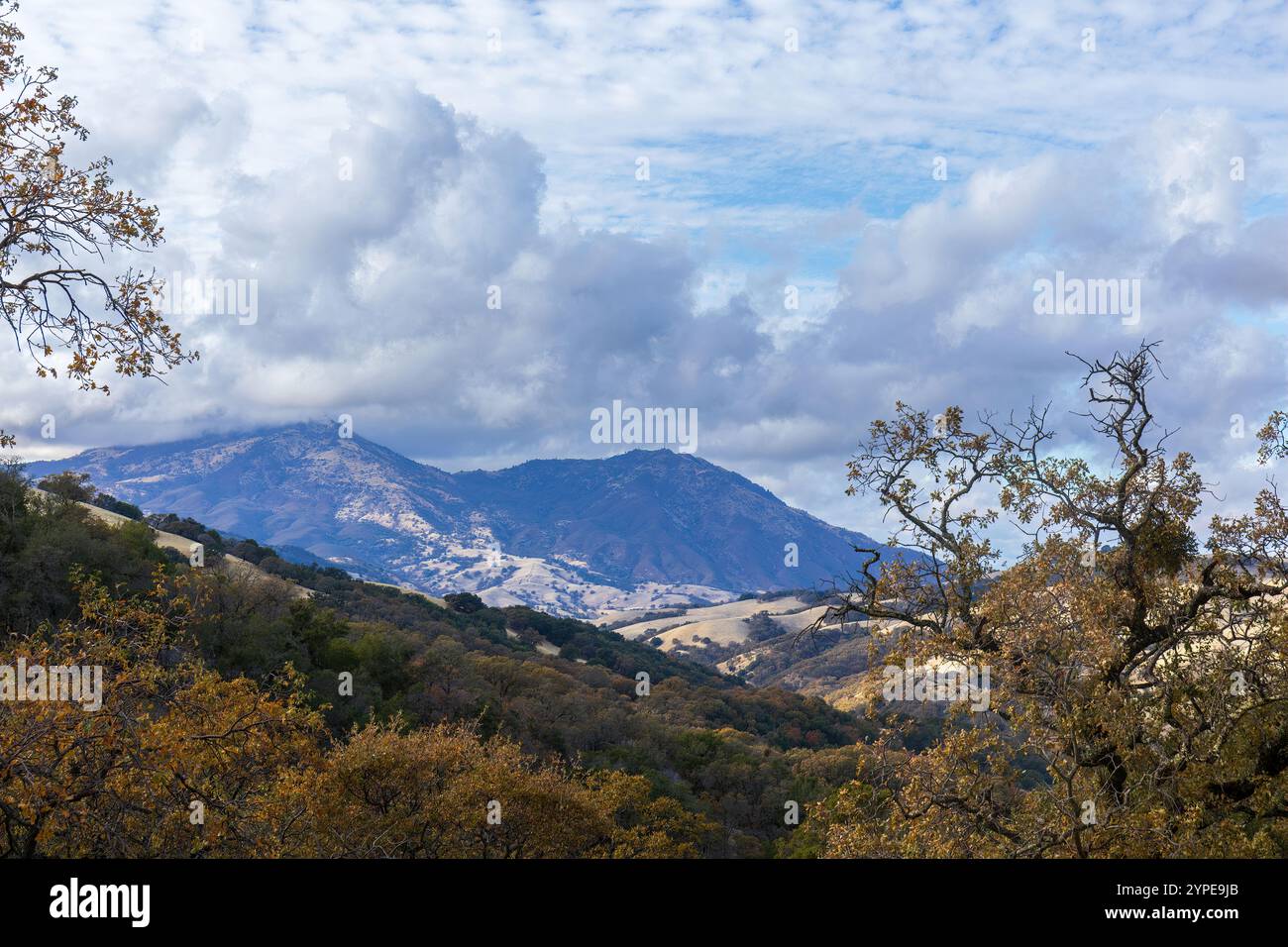 MT Diablo über Morgan Territory Regional Preserve. Clayton, Contra Costa County, Kalifornien, USA. Stockfoto