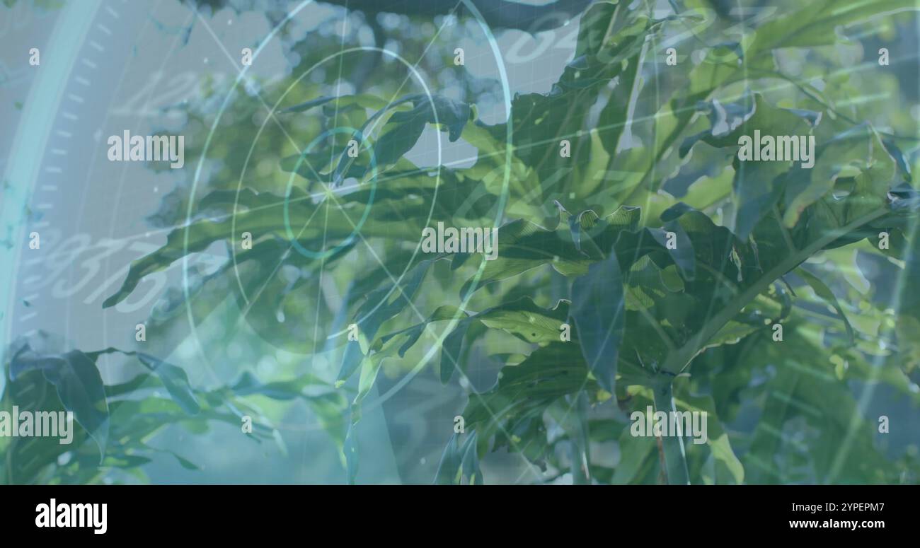 Wissenschaftliches Datenverarbeitungsbild über grünen Blättern in der natürlichen Umwelt Stockfoto