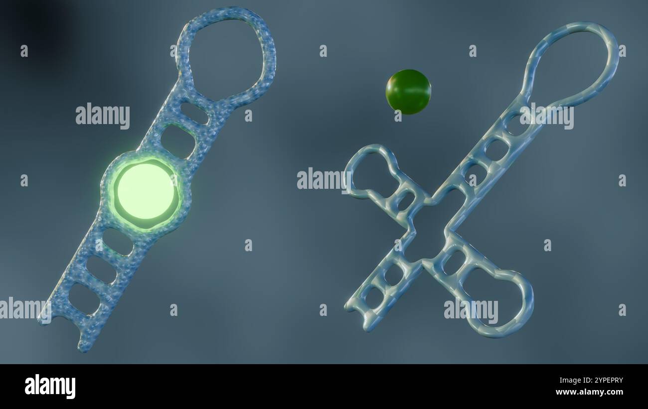 Aptamere sind so konzipiert, dass sie an den Zielanalyten binden. Ein Fluorophor, ein Molekül, das bei Anregung Licht abgibt, ist am Aptamer befestigt; 3D-Rendering Stockfoto