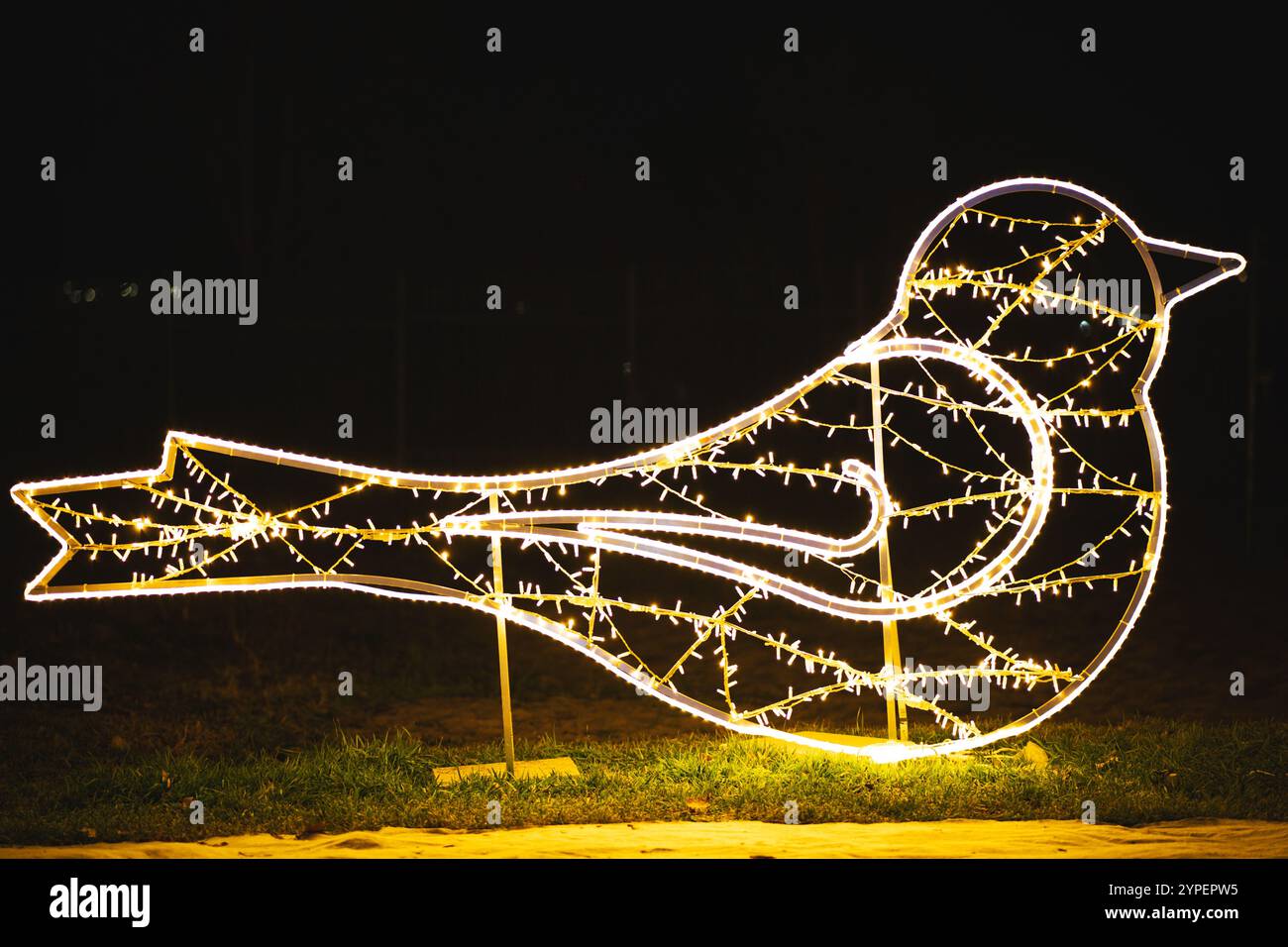 LED-Lichtinstallation im Park bei Nacht Stockfoto