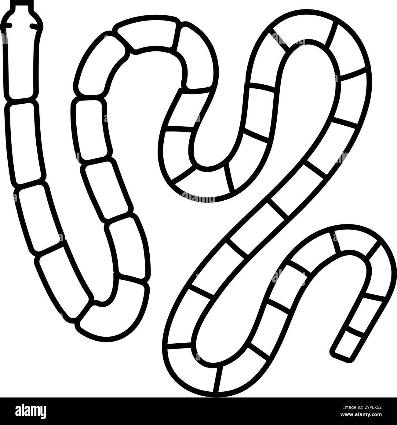 Bandwurm Parasitenlinie Symbol Vektor Illustration Stock Vektor