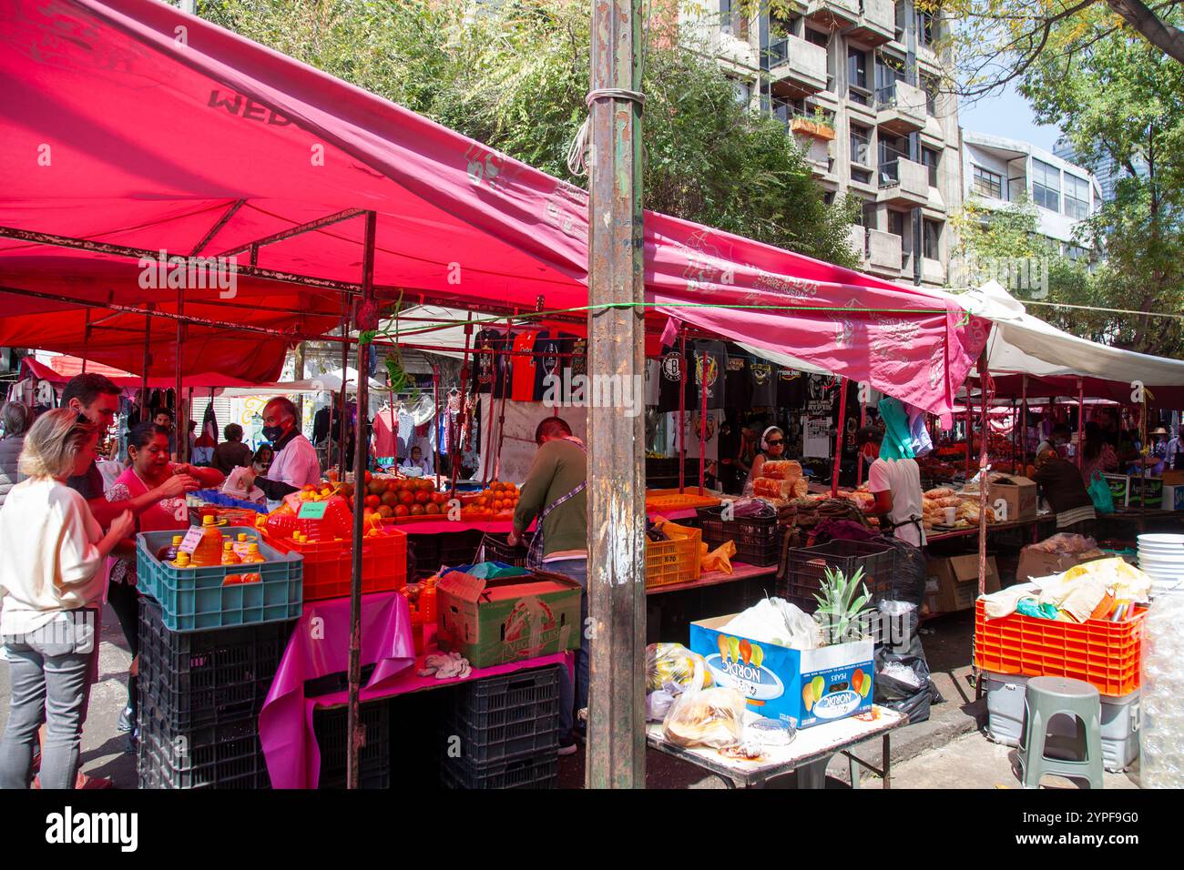 Tianguis de Condesa in Colonia Condesa dienstags in Mexico City, Mexiko Stockfoto