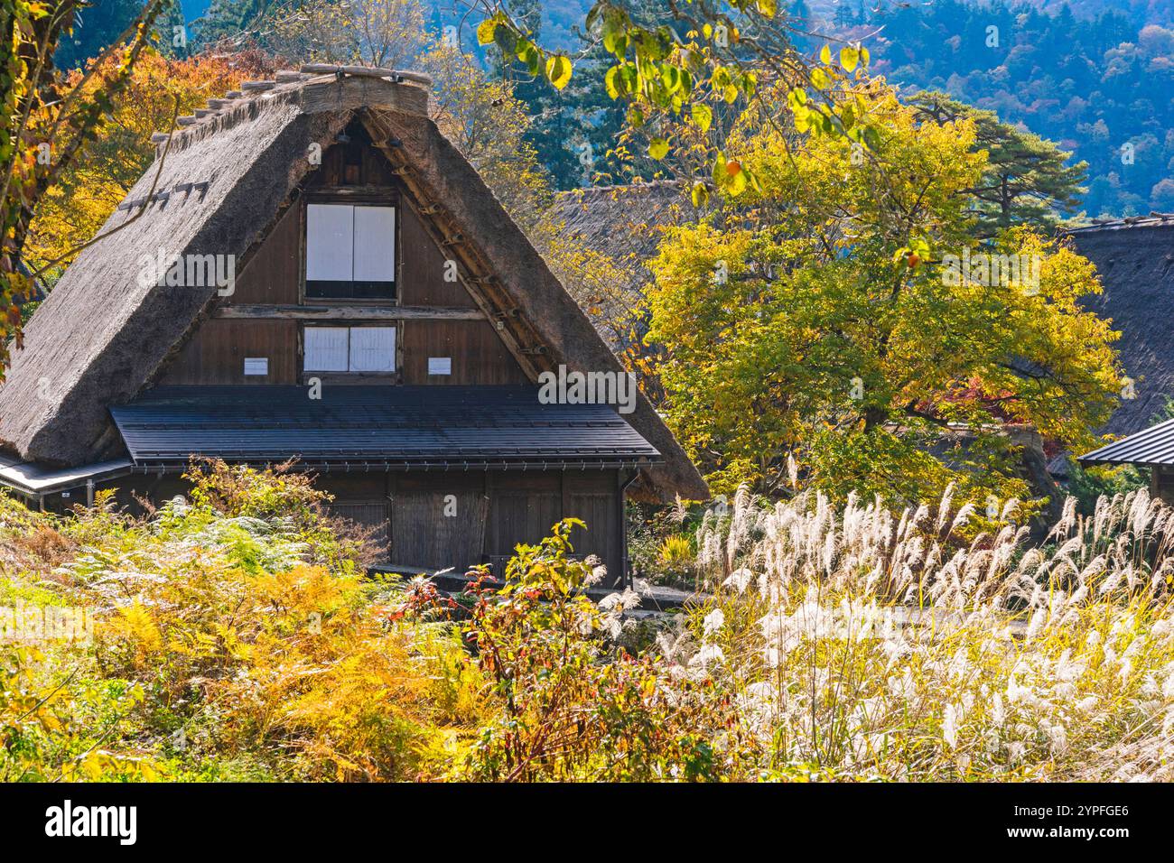 Traditionelles Bauernhaus in Ogimachi (Shirakawago/Japan) Stockfoto