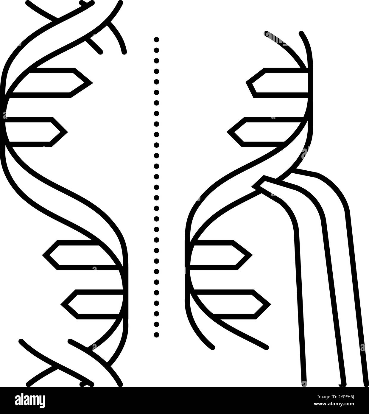 Genom-Bearbeitung Gentechnik-Linie Symbol-Vektor-Illustration Stock Vektor