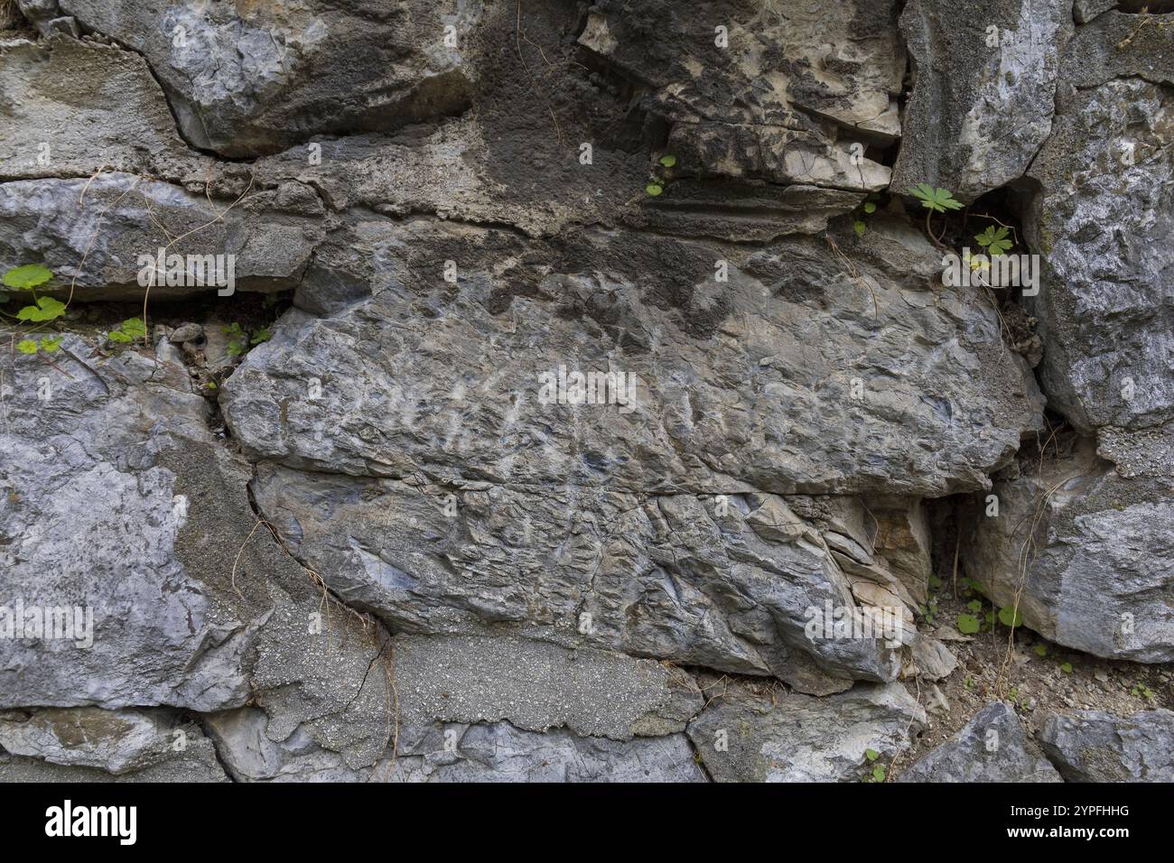 Nahaufnahme einer strukturierten dunkelgrauen Steinwandoberfläche in Rissen und Spänen Stockfoto