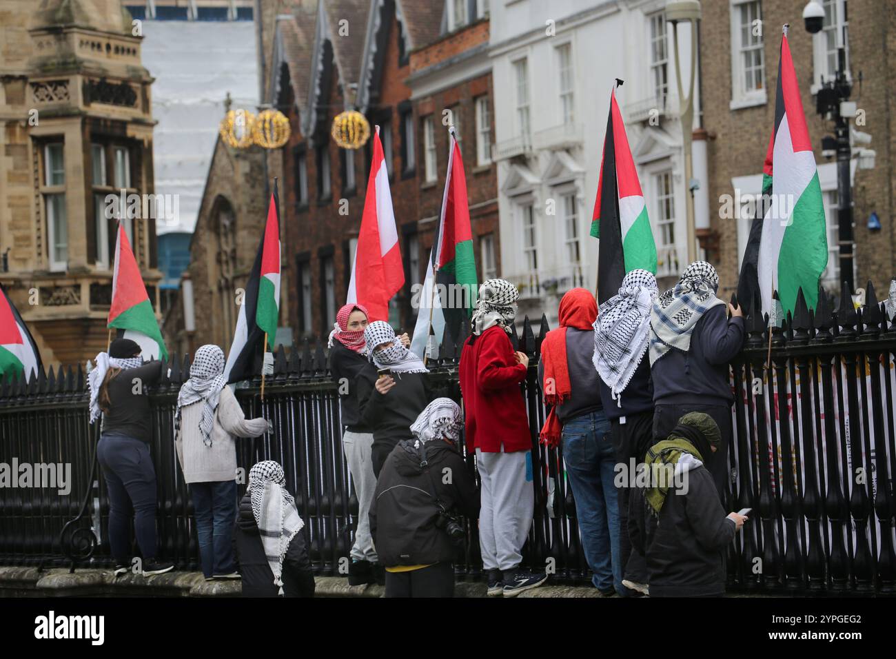 Cambridge, England, Großbritannien. November 2024 30. Die Studenten schauen von innen über den Zaun des Senats mit palästinensischen Fahnen, die während der Kundgebung fliegen. Studenten der Universität Cambridge, Mitglieder von Cambridge for Palestine, demonstrieren an der Universität Cambridge. Sie möchten betonen, dass es in Gaza keine Abschlussarbeiten gibt, da es nach 14 Monaten Bombenanschlag durch Israel keine Universitäten mehr gibt. Studenten haben den üblichen Ort für die Abschlussfotos besetzt und den Rasen des Senats zur befreiten Zone erklärt. Die Universität Cambridge hat die Gespräche mit den Studenten ausgesetzt und rechtliche Schritte angedroht Stockfoto