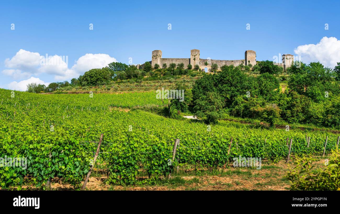 Monteriggioni mittelalterliches befestigtes Dorf und Weinberge, Route der Via francigena. Provinz Siena, Toskana, Italien, Europa. Stockfoto