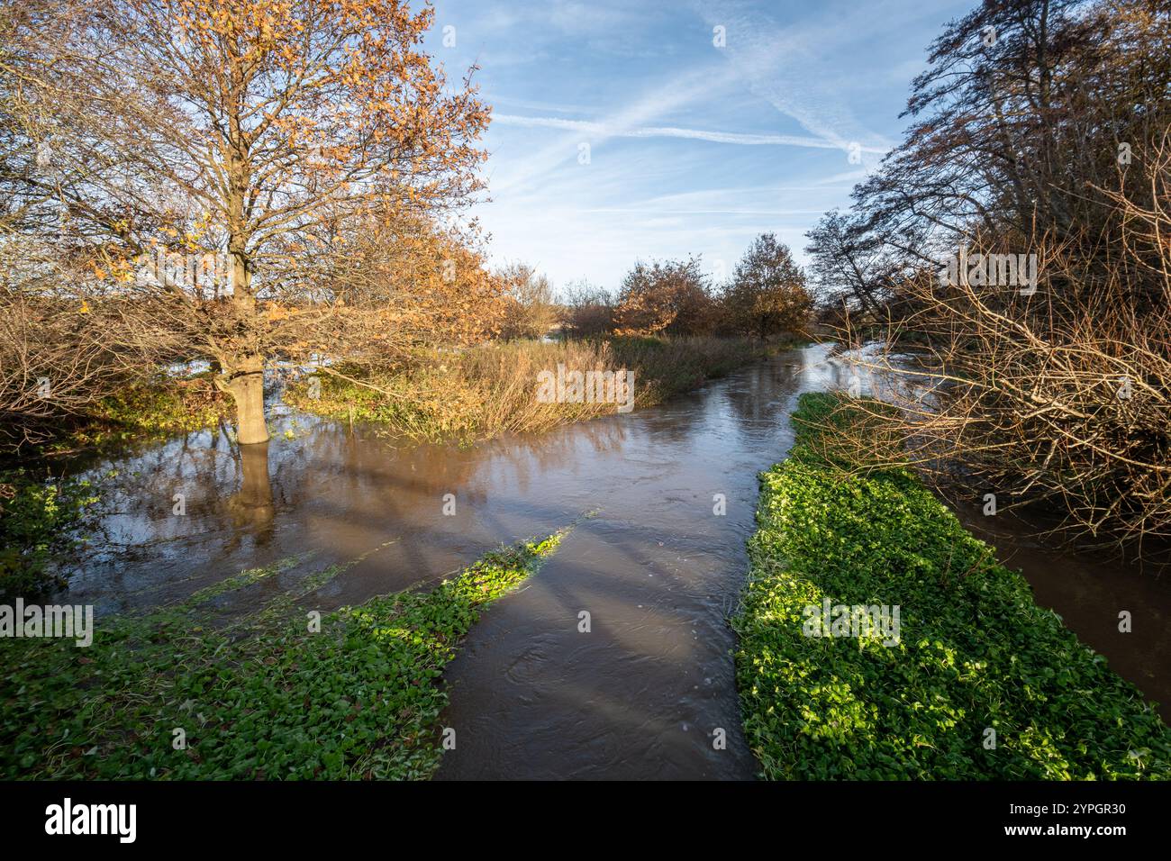 Überfluteter Fluss Wey in der Nähe des Dorfes Send im November 2024, Überschwemmung des Flusses über der Aue in Surrey, England, Großbritannien Stockfoto