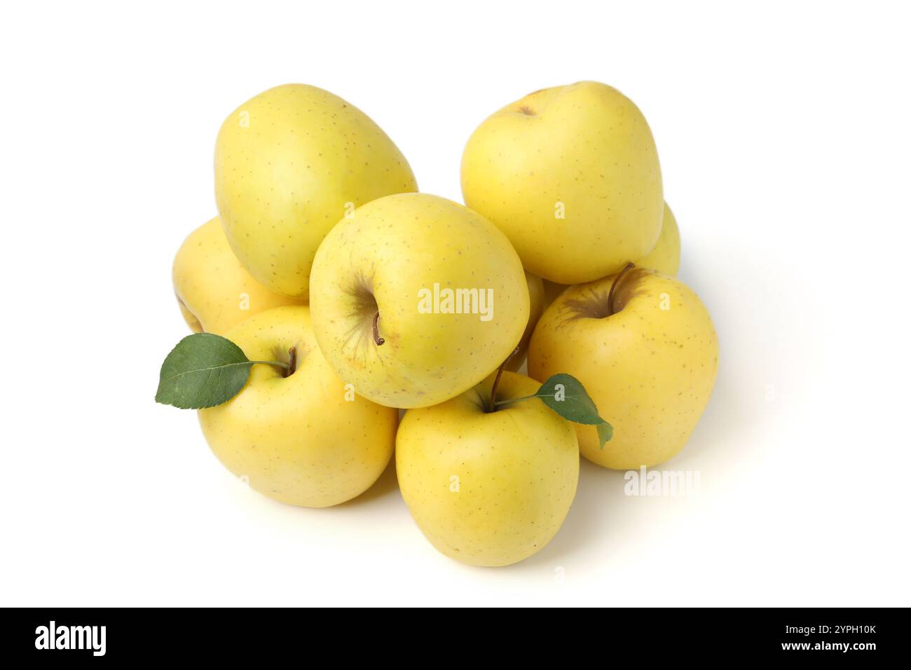 Viele frische gelbe Äpfel isoliert auf weiß Stockfoto