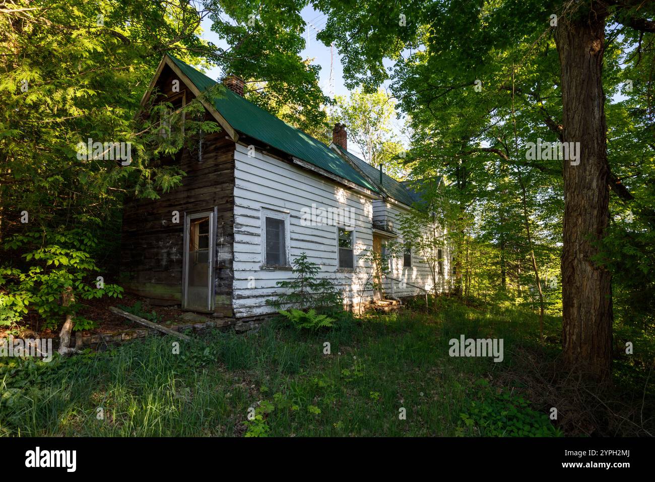Ein verlassenes und verlassenes Holzhaus im Wald. Stockfoto