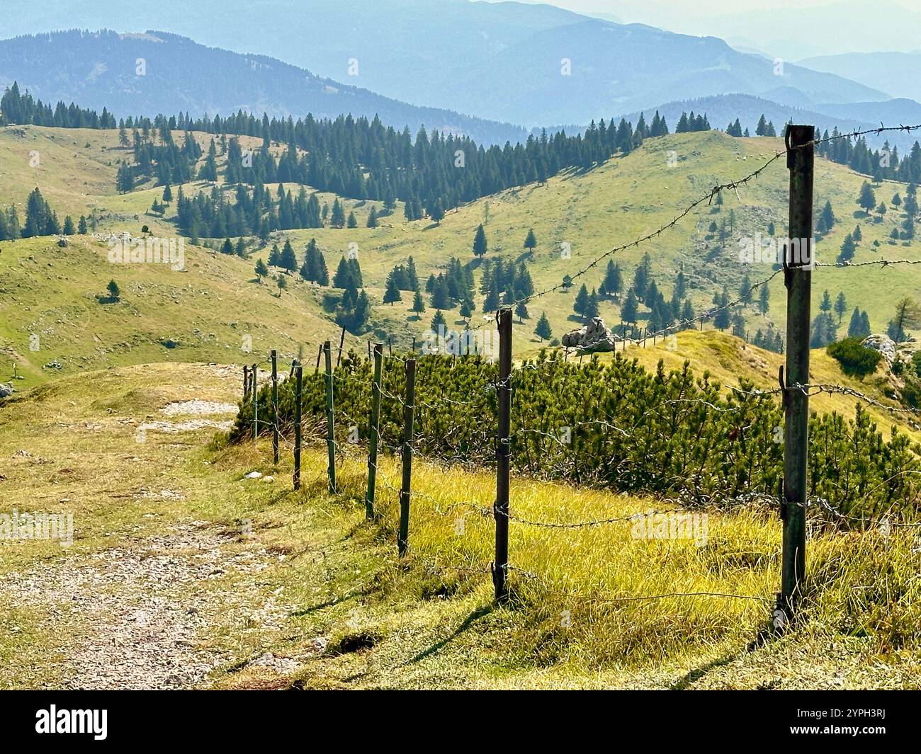 Das Foto zeigt eine atemberaubende ländliche Landschaft mit majestätischen Bergen und üppigen Bäumen. - Smartphone-aufgenommenes Stockfoto