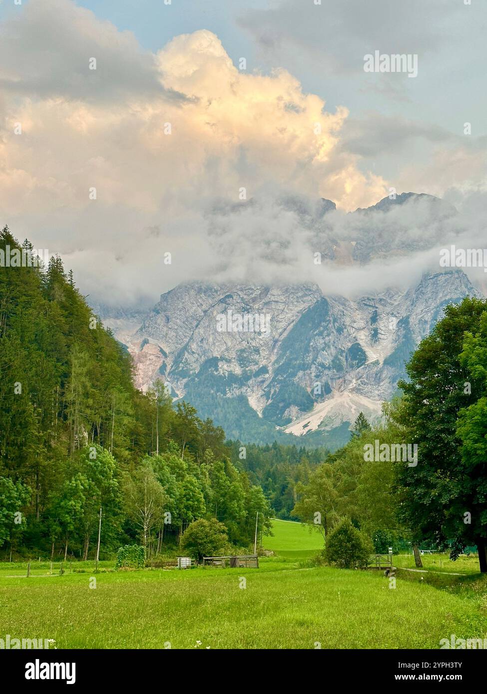 Das Foto zeigt eine atemberaubende ländliche Landschaft mit majestätischen Bergen und üppigen Bäumen. - Smartphone-aufgenommenes Stockfoto