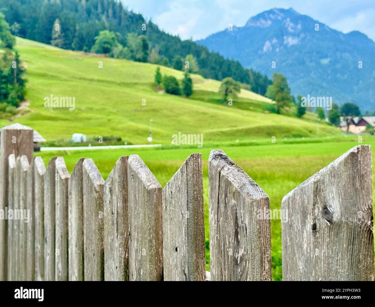 Das Foto zeigt eine atemberaubende ländliche Landschaft mit majestätischen Bergen und üppigen Bäumen. - Smartphone-aufgenommenes Stockfoto