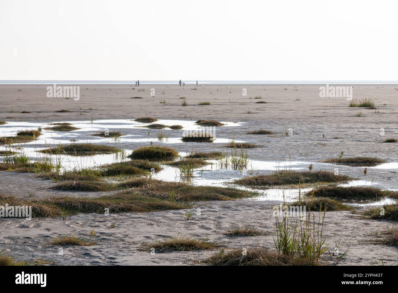 Ebbe in Silverdale am Rande der Morecambe Bay an der Küste von Lancashire, England. Stockfoto