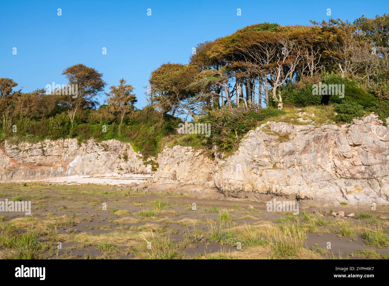 Ebbe in Silverdale am Rande der Morecambe Bay an der Küste von Lancashire, England. Stockfoto